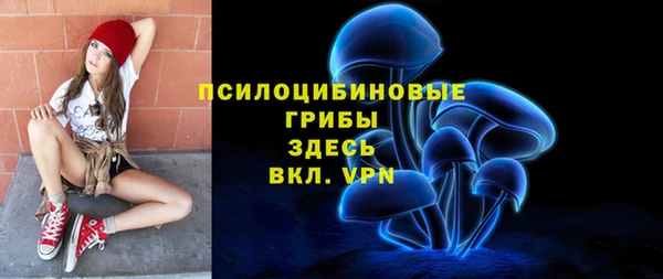 таблы Алексин